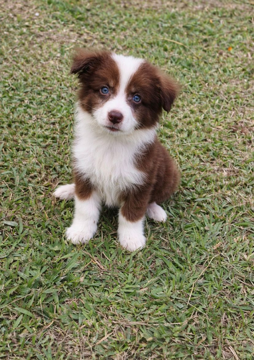 Max